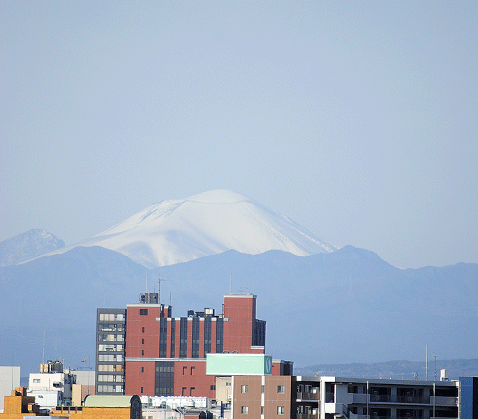 a0001354_23314383.gif