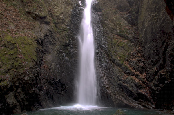 b0320758_20330328.jpg