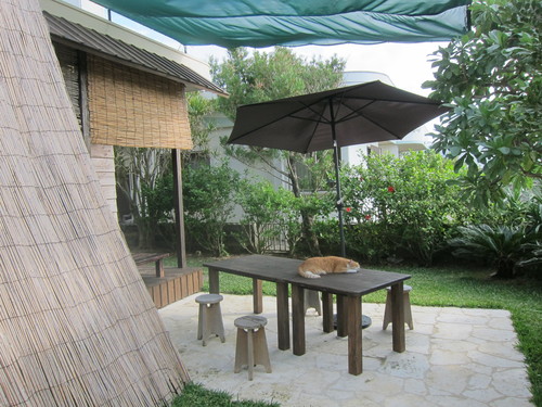 c0153966_15172695.jpg