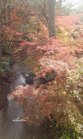 f0200568_1056531.jpg