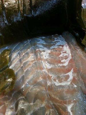 c0212669_165405.jpg