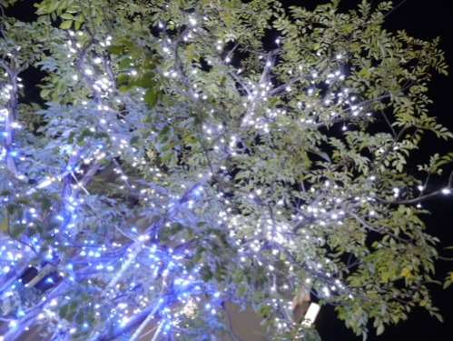 b0125570_10111131.jpg