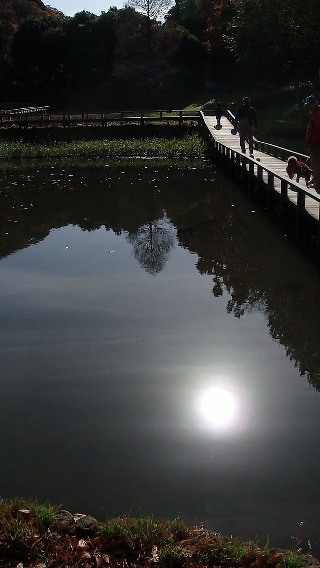 d0031171_8221245.jpg
