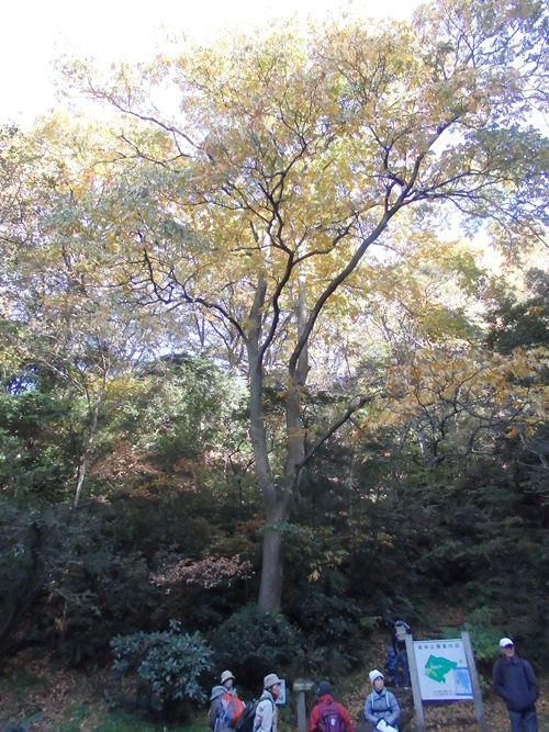 d0031171_8737.jpg