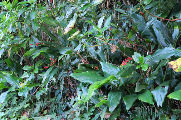 e0292172_2154557.jpg