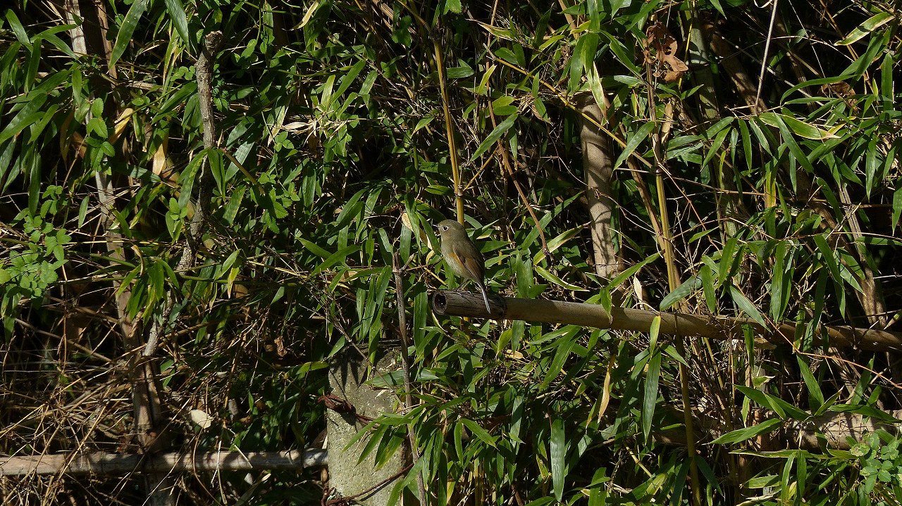 a0185081_11233160.jpg
