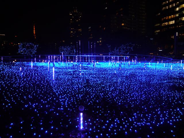 f0167281_1762112.jpg
