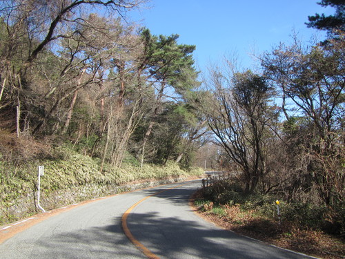 a0251786_1953560.jpg