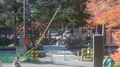 c0219090_2152307.jpg
