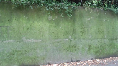 c0219090_22234735.jpg