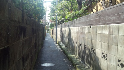 c0219090_224295.jpg