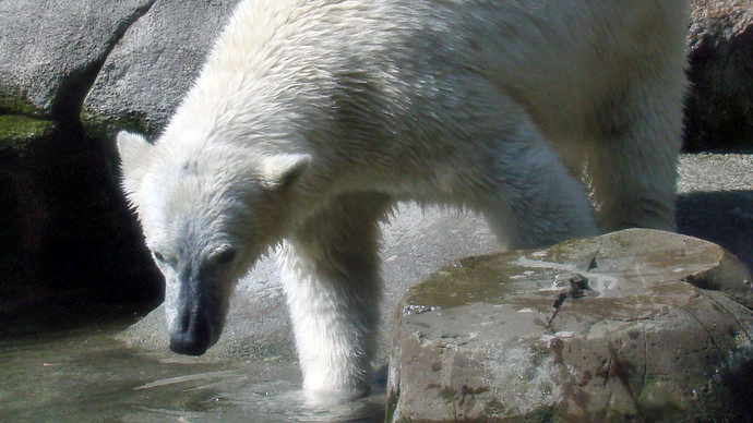 a0151913_353057.jpg