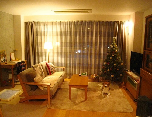 c0084117_1749357.jpg