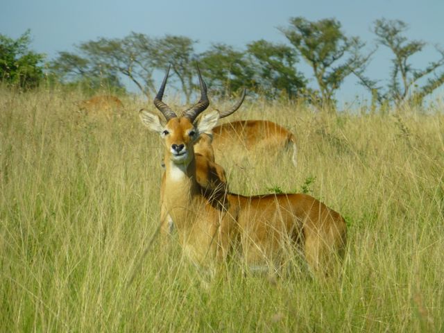 f0096017_0322814.jpg