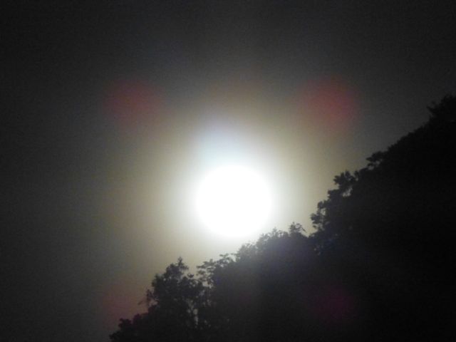 f0096017_043128.jpg