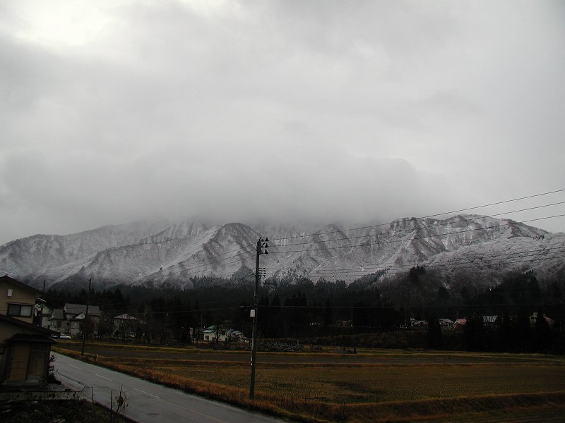 d0015124_2312787.jpg