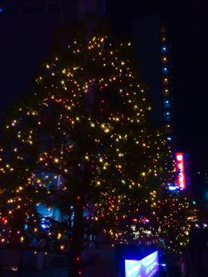 a0275527_2329504.jpg