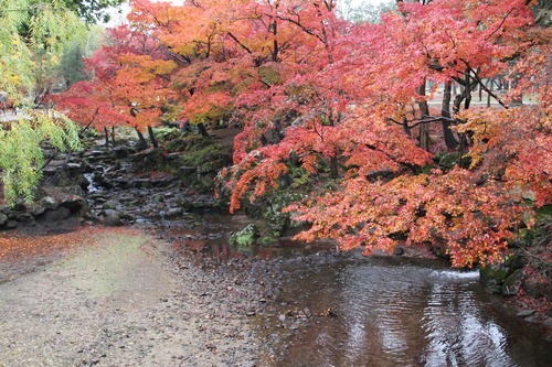 b0162728_22451625.jpg