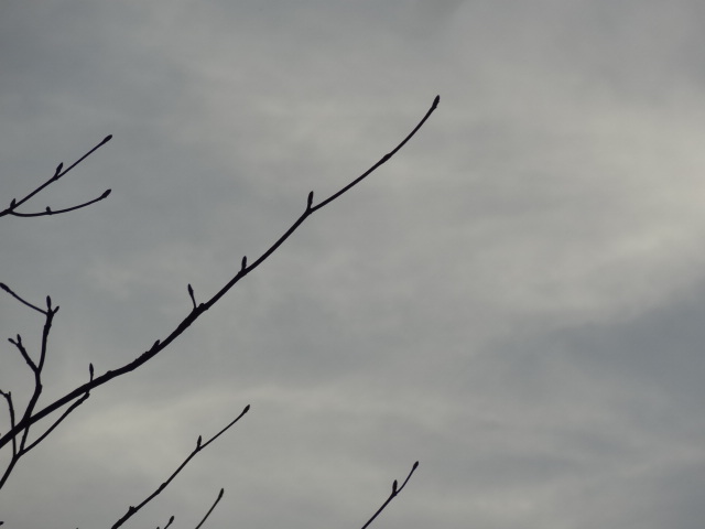 e0016828_11413472.jpg