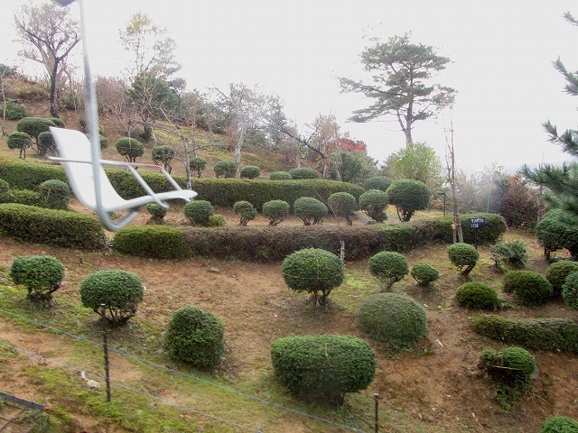 f0054429_013545.jpg