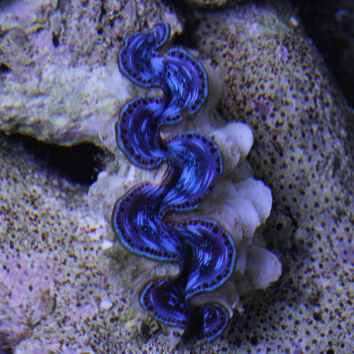 d0221436_21531688.jpg
