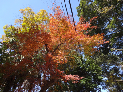 f0141840_01013311.jpg