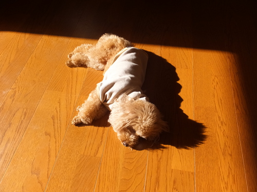 c0122744_1472520.jpg
