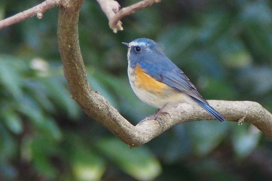 f0124451_23252080.jpg
