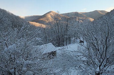 f0035962_9315875.jpg
