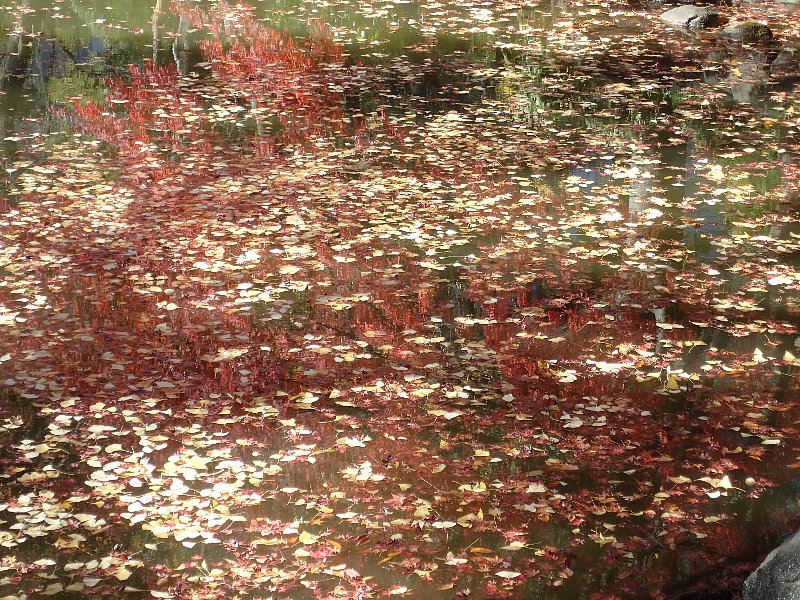 b0084270_3143970.jpg