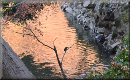 e0099375_0205179.jpg