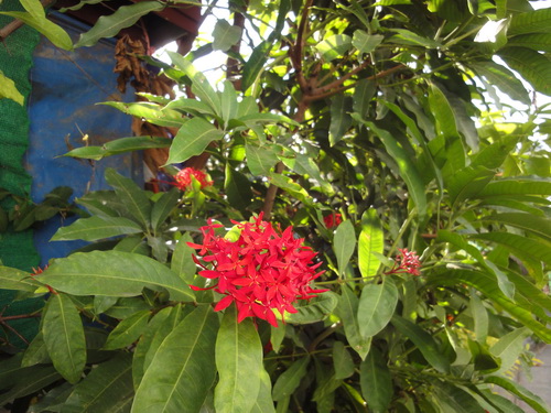 a0002177_11243475.jpg