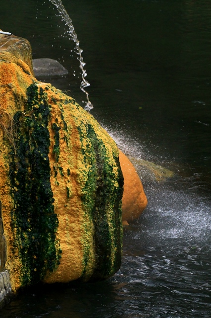 d0126577_2235531.jpg