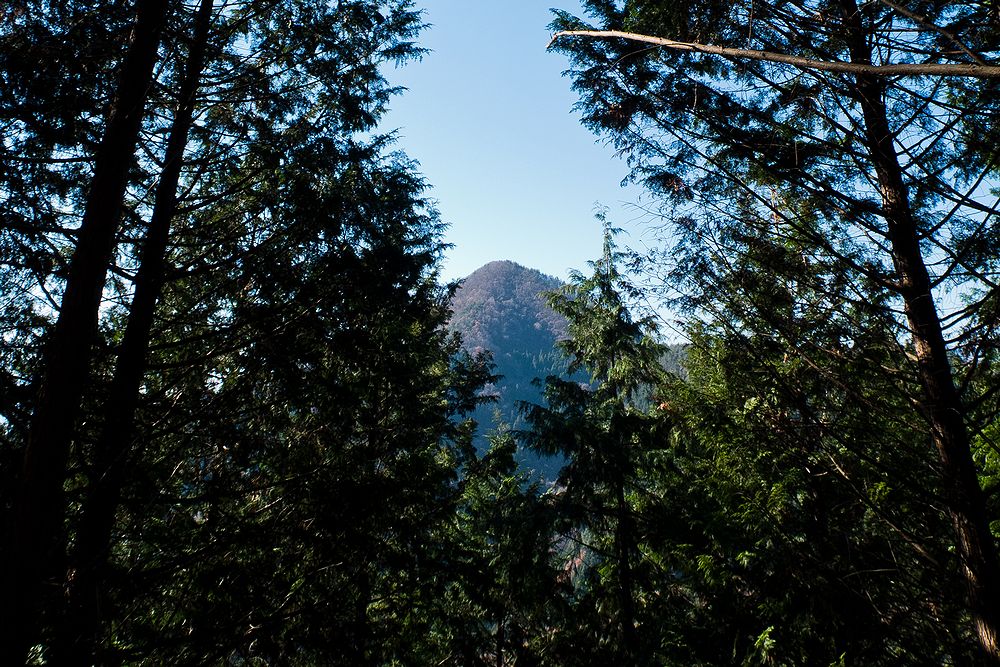 f0234982_9314872.jpg