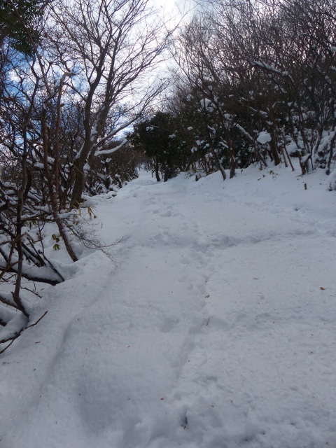 f0357487_1426793.jpg
