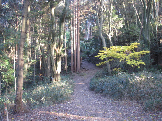 f0010195_18125168.jpg
