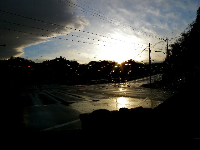 a0199297_2054154.jpg