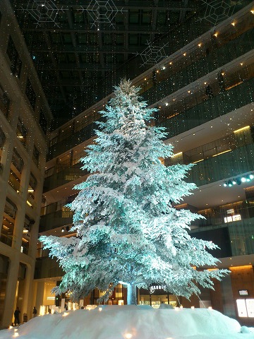 f0100911_224921.jpg