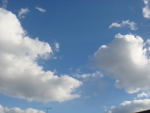 a0019212_112111.jpg