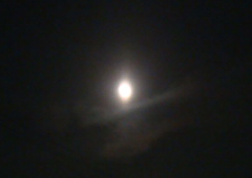 a0019212_9102065.jpg