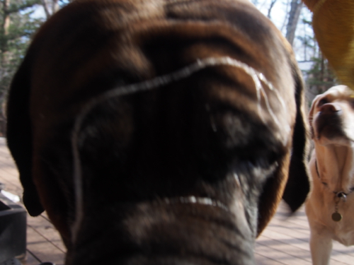 e0192217_10531585.jpg