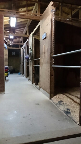 b0187620_2059710.jpg