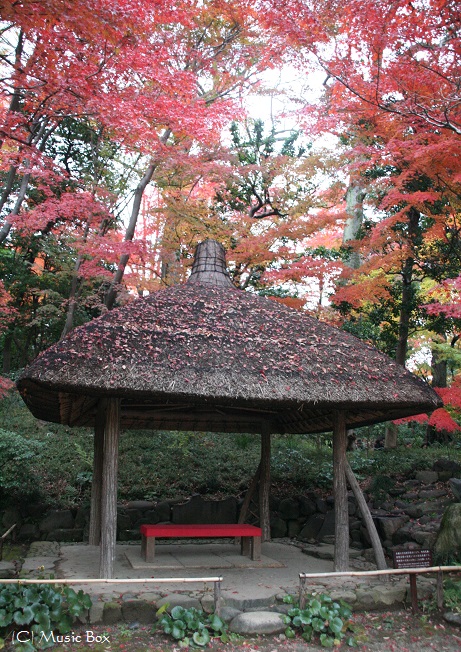 c0071221_1020490.jpg
