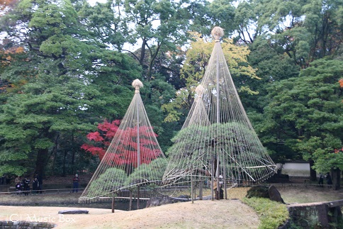 c0071221_103042100.jpg