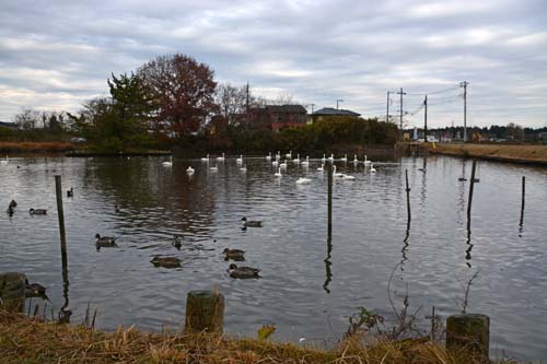 f0147025_2075840.jpg