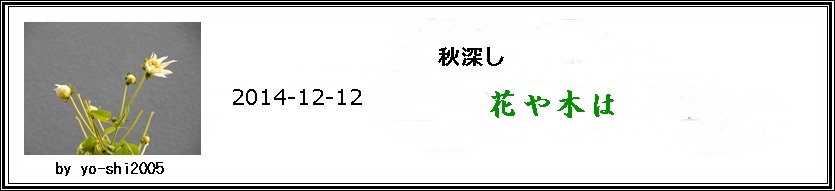 e0033229_21102663.jpg