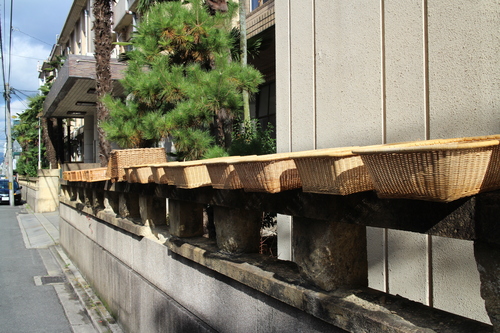 d0033734_18204360.jpg