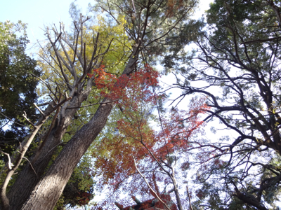 f0141840_02091738.jpg