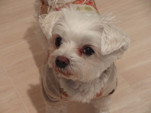 b0254548_21350975.jpg