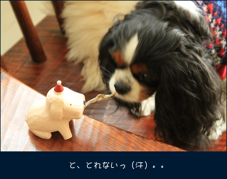 c0145250_15153380.jpg